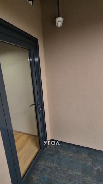 Тихие стены