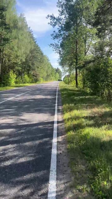 Дорога 🚴