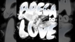 BREGA DO LOVE (ULTRA SLOWED)