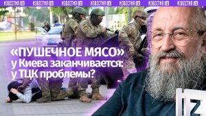 Пушечное мясо для террористов кончается: Вассерман – о защите украинцев в ЕС / Открытым текстом