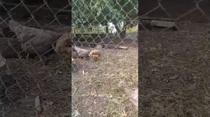 Где просмотры!? :)