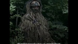 Собака Баста помогает стрелку с позывным «Морген» в зоне СВО