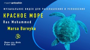 Музыкальное видео для расслабления и успокоения. Красное море. Ras Mohammed. Marsa Bareyka. 8 мая 26