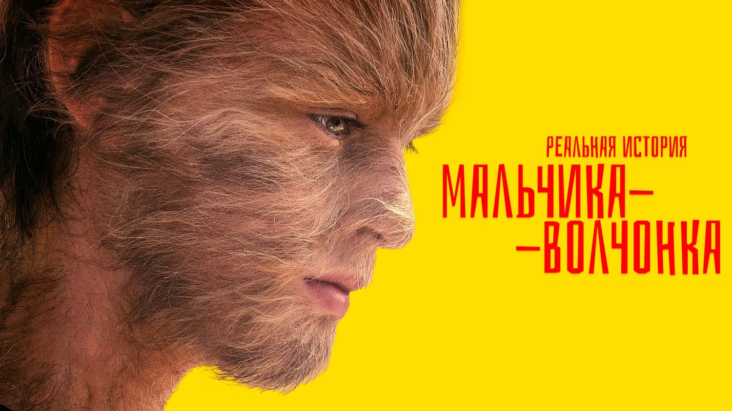 Реальная история мальчика-волчонка | The True Adventures Of Wolfboy (2019)