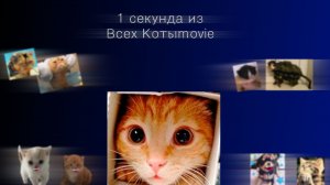 1 секунда из Всех Котыmovie