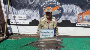 Улов Михаила за неполный день