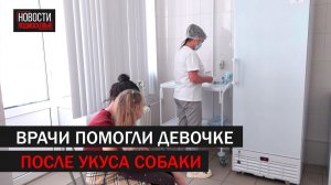 Подольские врачи помогли ребенку после укуса собаки
