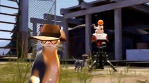Tf2: но все стали котостями