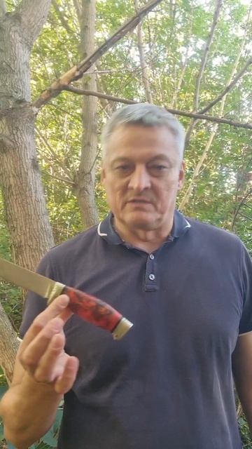 ,,Атаман