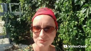 Крым, Судак 10.08.2026 — есть ли свет?