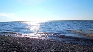 Ловля неводом на Енисее. Рыбалка под присмотром.
