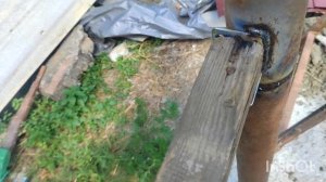СДЕЛАЙ САМ ВОЛЬЕР ДЛЯ СОБАКИ
