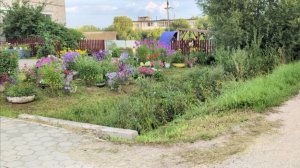 Тяжела наша огородная доля.Тачку в руки и по кочкам.Айда со мной за мульчой.Сандово,Тверская обл