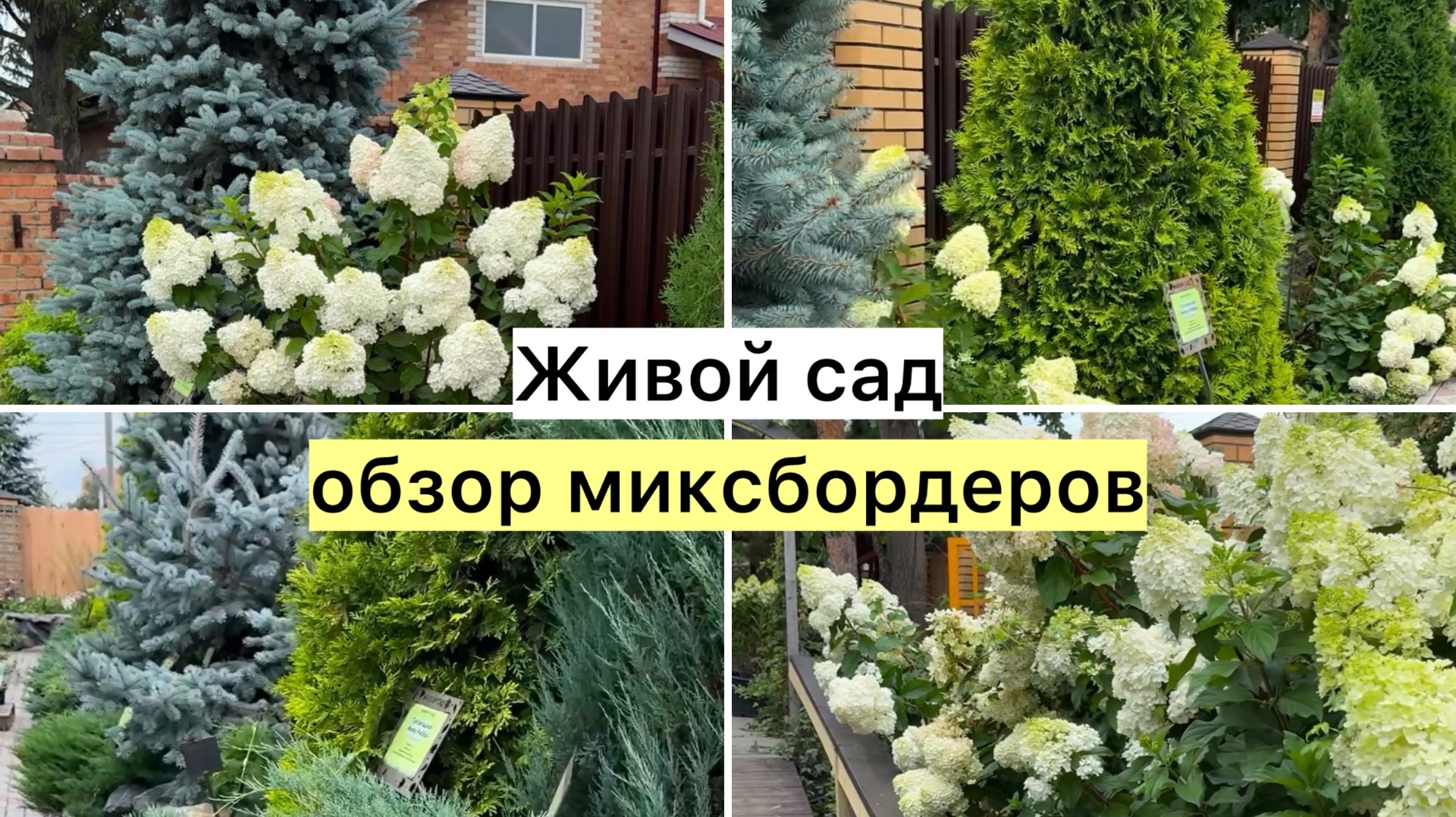Как будут выглядеть ваши растения во взрослом возрасте!