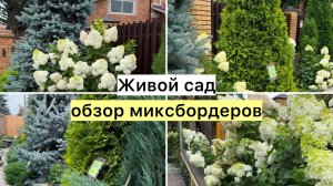 Как будут выглядеть ваши растения во взрослом возрасте!