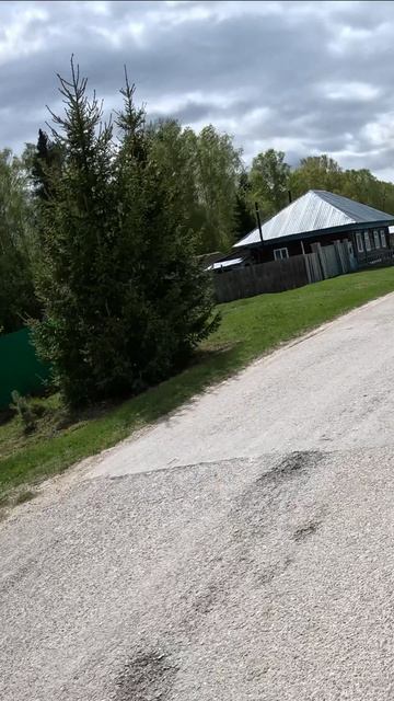 Дом из сотового поликарбоната — что за овощи вы там растите?! 🌱🌴🌾 #велопоездка #велосипед #Тюмень