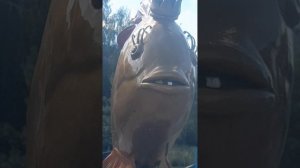 1000017428.mp4