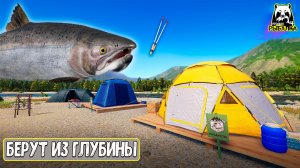 Они обожают течение и атакуют из глубины #рр4
