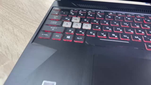 Ноутбук Asus TUF Gaming FX95DT3550