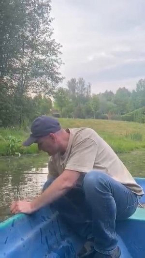 Лечение рыбы пробы воды зарыбление хлорелла платнаярыбалка хлорелла водоемыдлякупания
