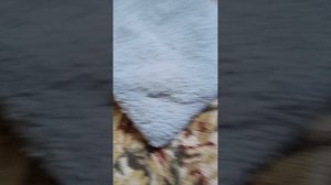 1000004484.mp4