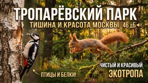 Скрытый мир под твоими ногами: Тропарёвский парк