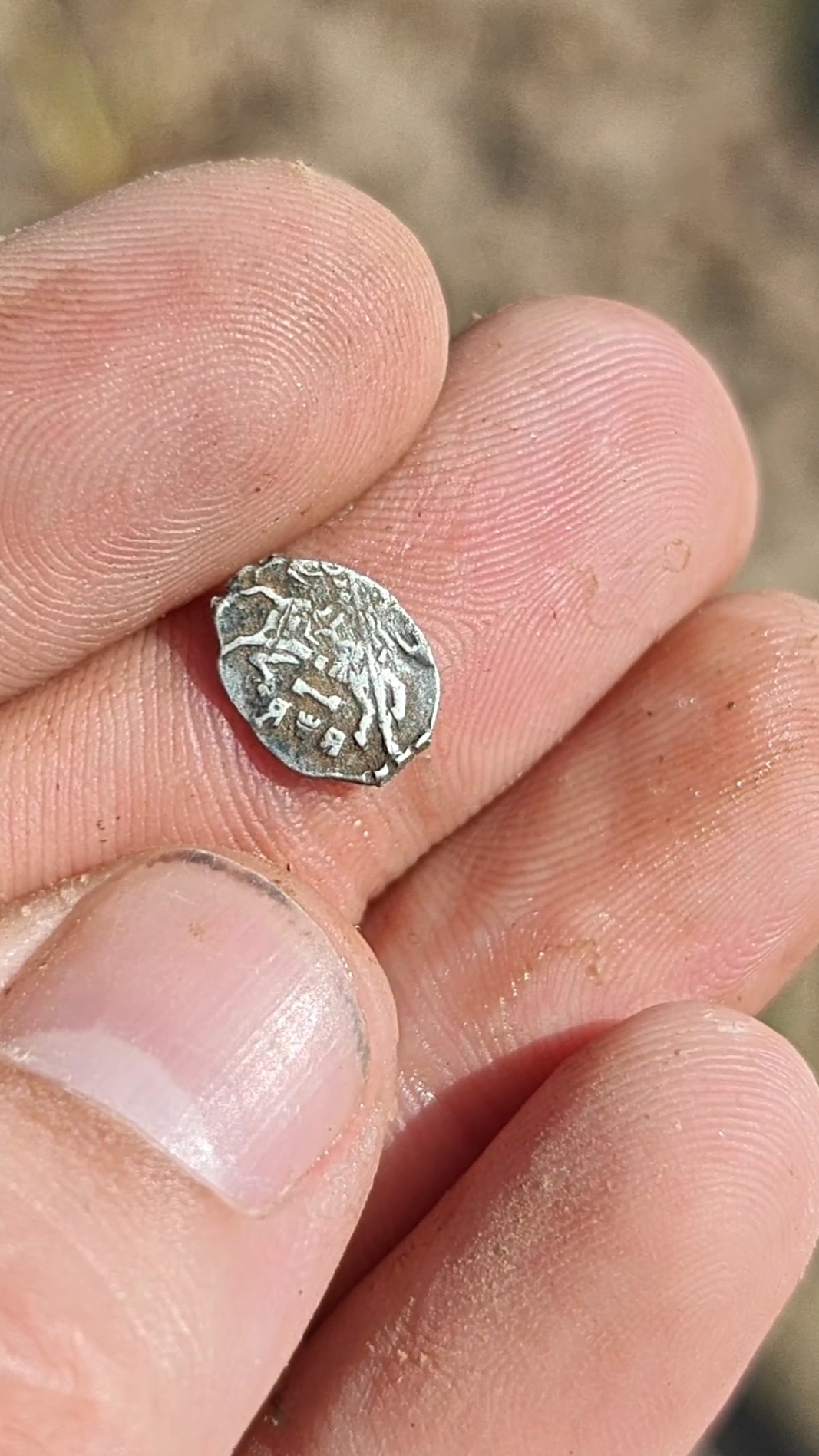 Осеребрился! Красота! Приятная находка! #trending #metaldetecting #minelab #коп #поиск #металлопоиск
