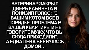 “Всё в порядке. Проблема в вашей квартире», ветеринар закрыл дверь кабинета. А едва Лена…