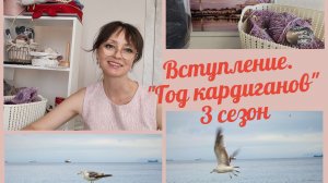 Вступление_Год кардиганов 3 сезон_2026