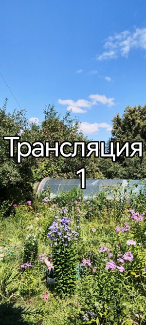 Дачная атмосфера