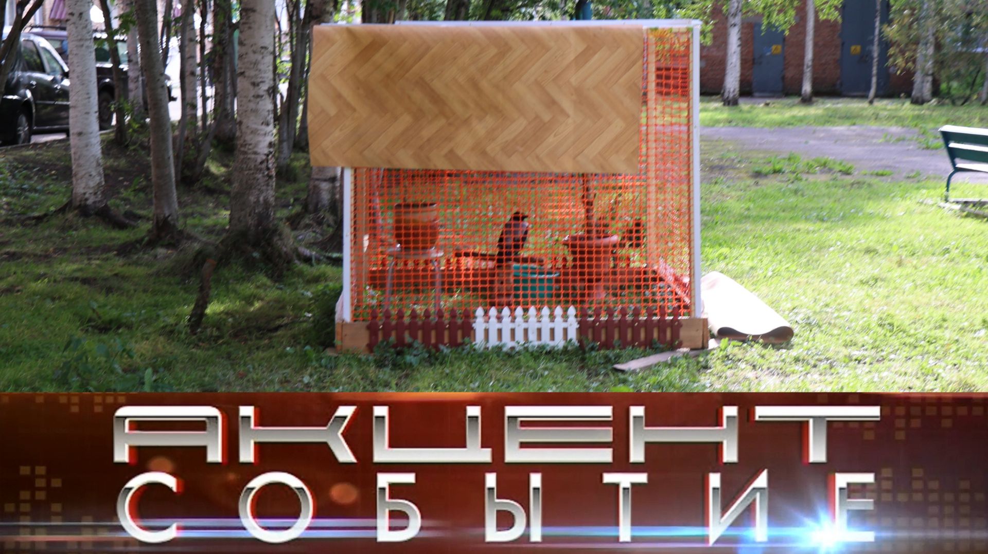 Сердобольные интинцы соорудили для ручной вороны клетку во дворе