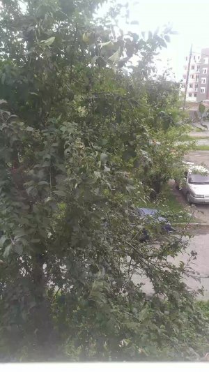 ребят на самом деле у меня нету двойника ну на самом деле это я был всё время 🫤