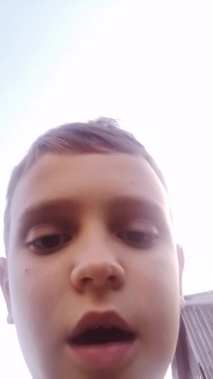 подписчики