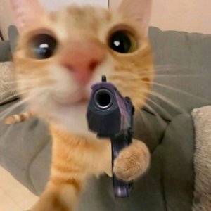 Бурмолда у миши