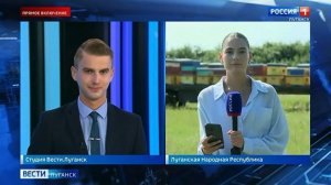 Прямой эфир: в Луганске готовятся к Медовому Спасу