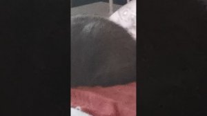 VID_20260810_173853.mp4