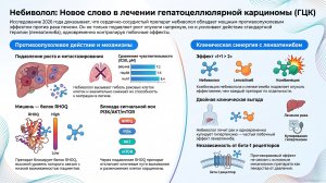 Небиволол в терапии гепатоцеллюлярной карциномы: молекул. механизмы, мишень RHOQ и клин. синергизм