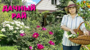 8 хитов о ДАЧЕ: На дачу! Маленький рай, В любимом саду и другие песни на стихи Галины Аверо
