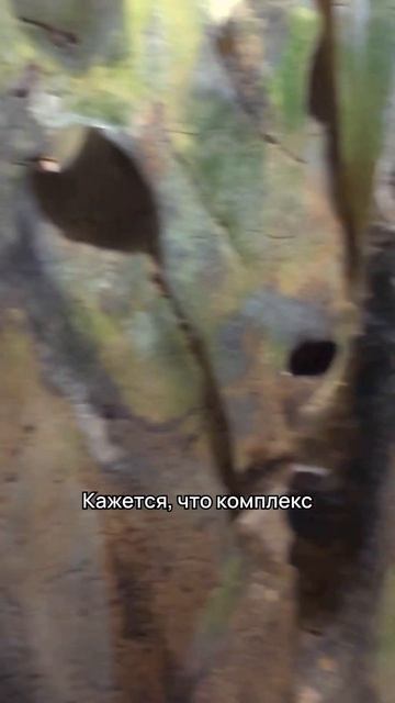 Переезд во Вьетнам