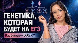 Самая популярная генетика в ЕГЭ: нарешка сцепления в ХХ/ХУ | Жанна Казанская | Умскул