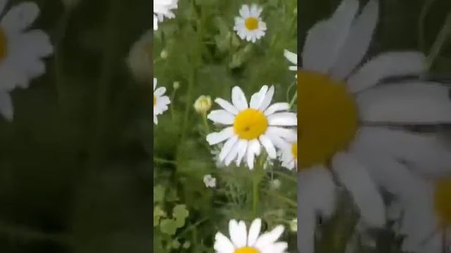 Спасибо за утро..