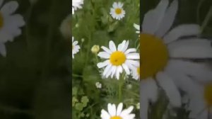 Спасибо за утро..