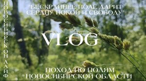 Поход по полям Новосибирской области
