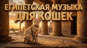 ЕГИПЕТСКАЯ МУЗЫКА ДЛЯ КОШЕК | ПОДБОРКА