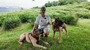 Знакомство с нашими пёсиками