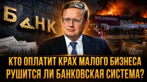 РУШИТСЯ ЛИ БАНКОВСКАЯ СИСТЕМА? КТО ОПЛАТИТ КРАХ МАЛОГО БИЗНЕСА | Михаил Делягин