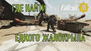 Fallout 76 Где найти едкого жалокрыла