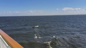 🛳️Речной круиз Н.Новгород-Казань-Самара🛳️