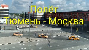 Mr Humster / Полёт часть 1