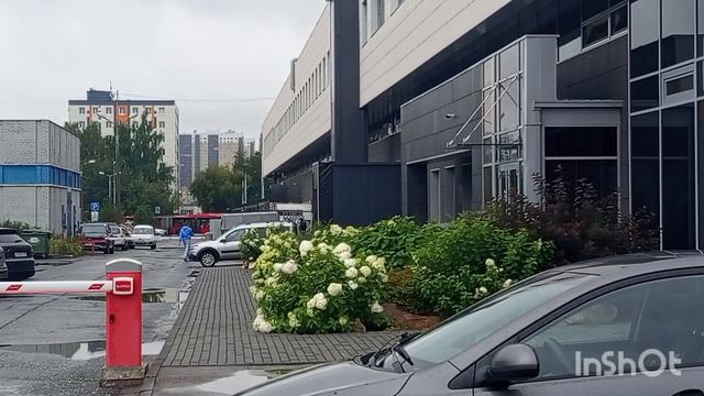 В гостях хорошо ,а дома лучше.Едем домой.